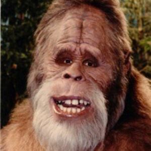 Meet your Posher, Don